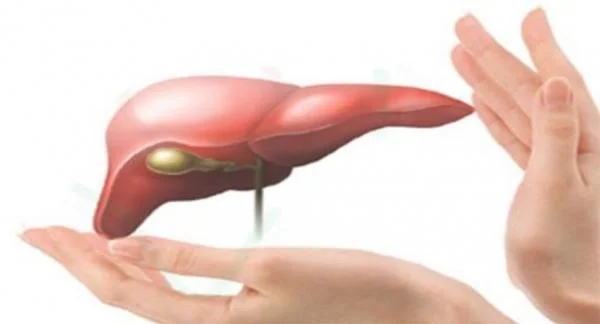 Những giải pháp giúp Gan phục hồi và khỏe mạnh
