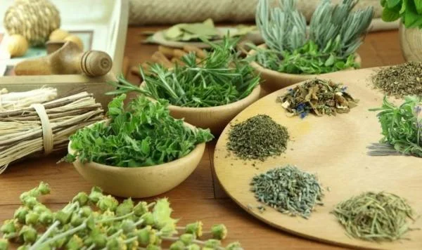 Thảo dược giúp TÓC KHỎE ĐẸP TỪ BÊN TRONG